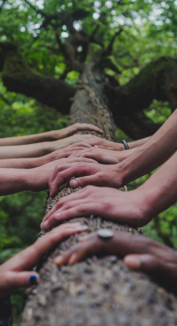 Imagem serena de natureza